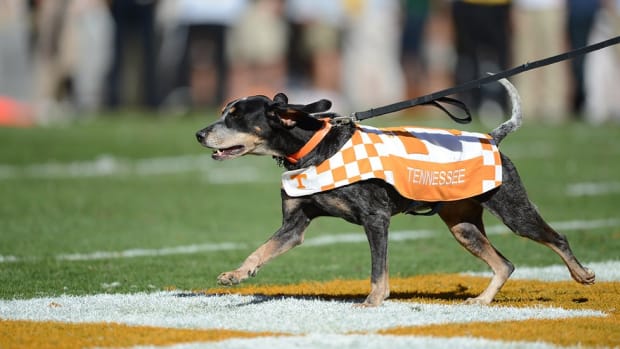 Smokey gets royal treatment; Uga, not so much
